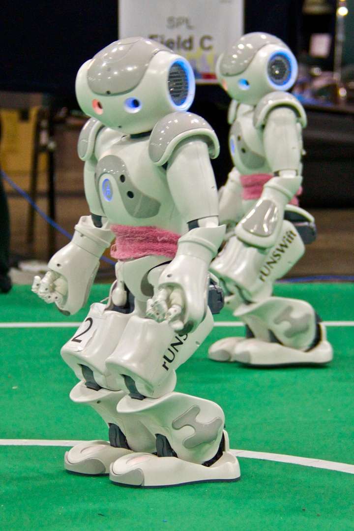 RoboCup soccer robots