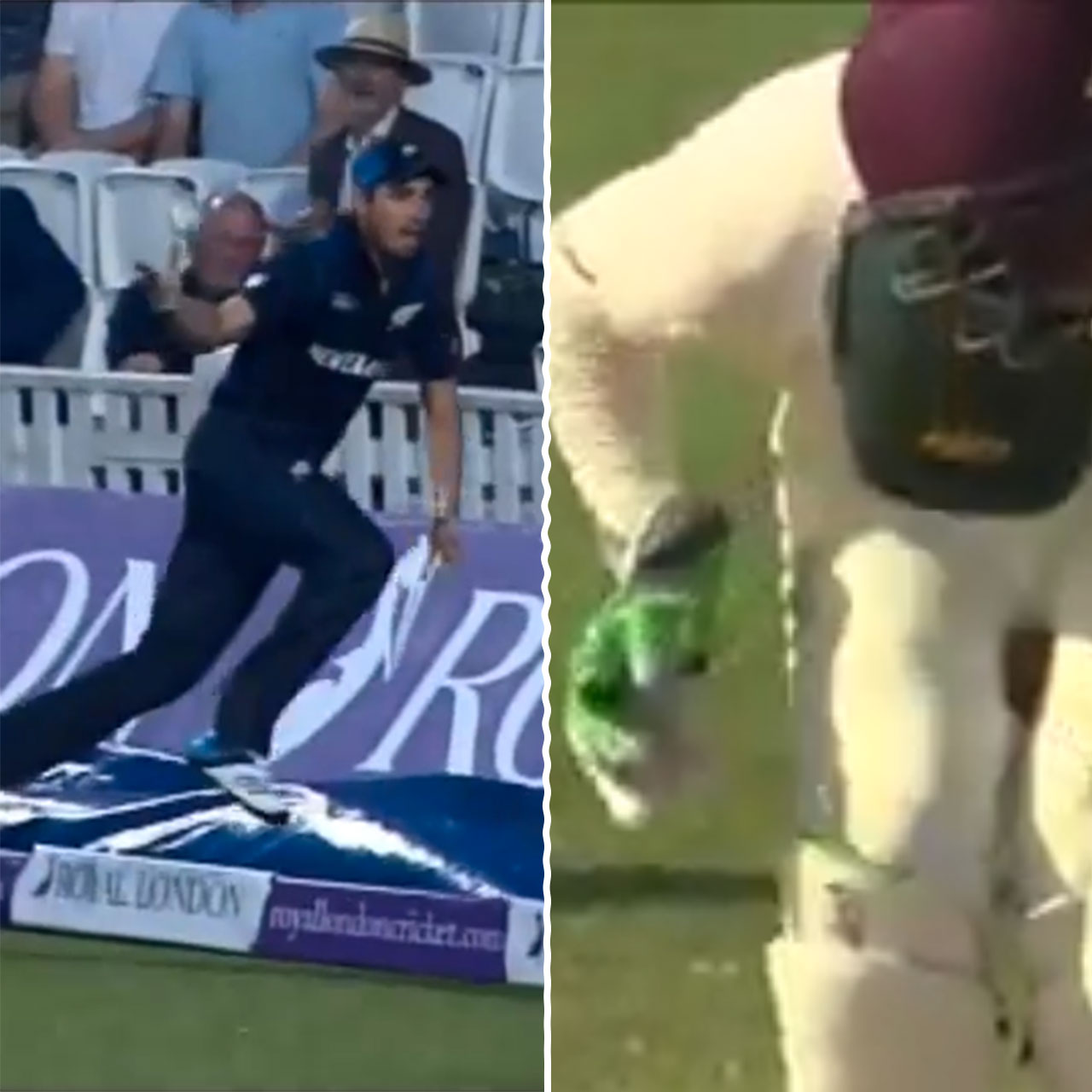 Tim Southee's sixer nixer and Brad Haddin's crotch catch make for amazing cricket