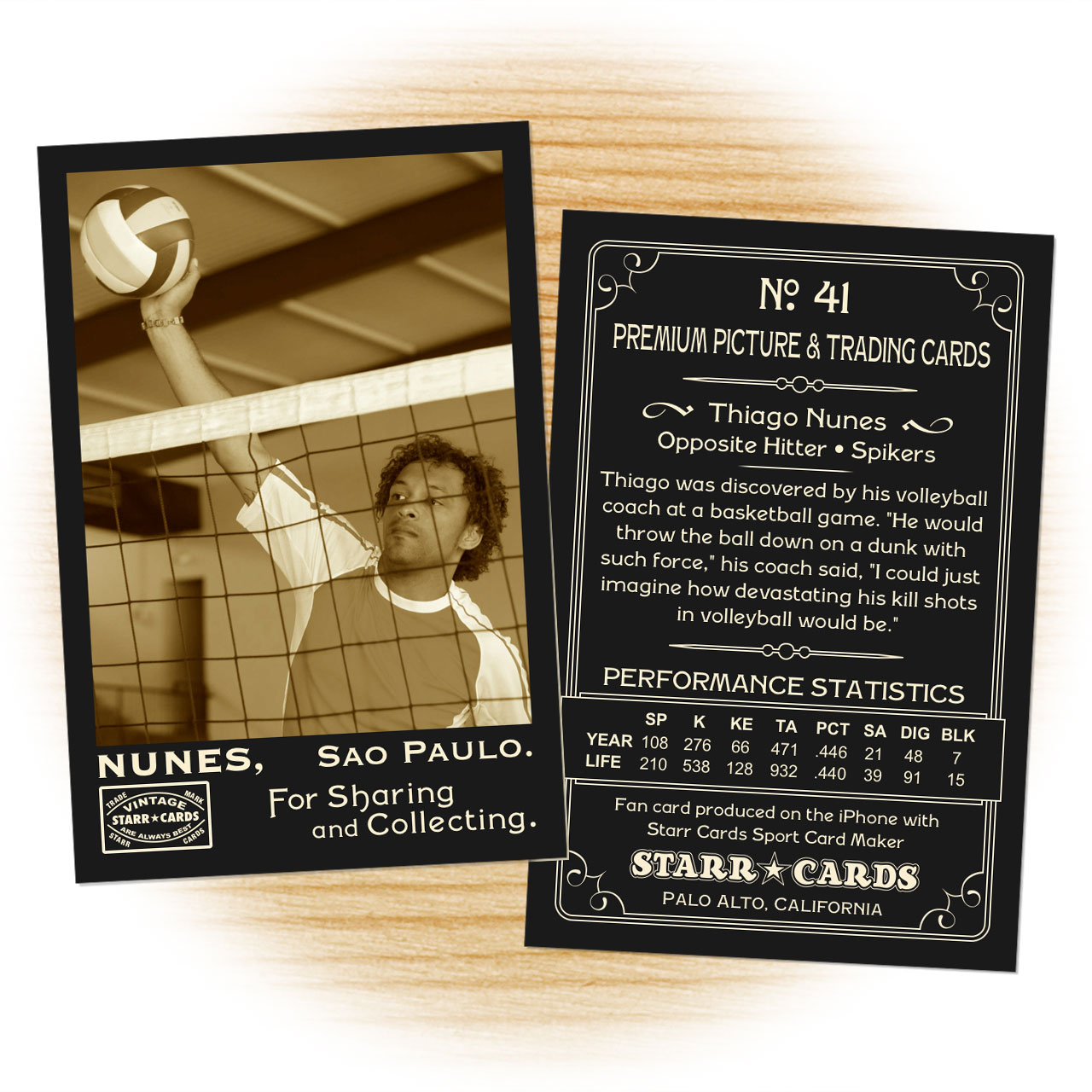 Vintage 95 Series custom volleyball cards