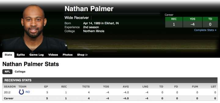 Wide receiver Nathan Palmer NFL stats from ESPN