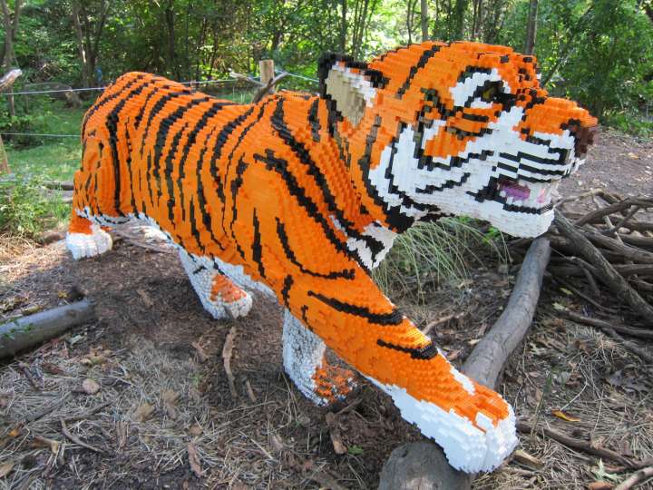 Zoo tiger made from LEGO bricks