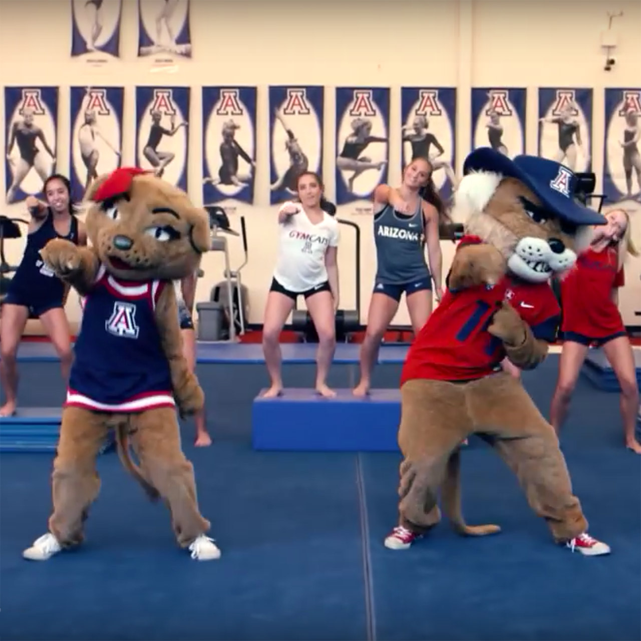 Arizona Wildcats gymnastics team hops aboard "Watch Me (Whip/Nae Nae)" bandwagon