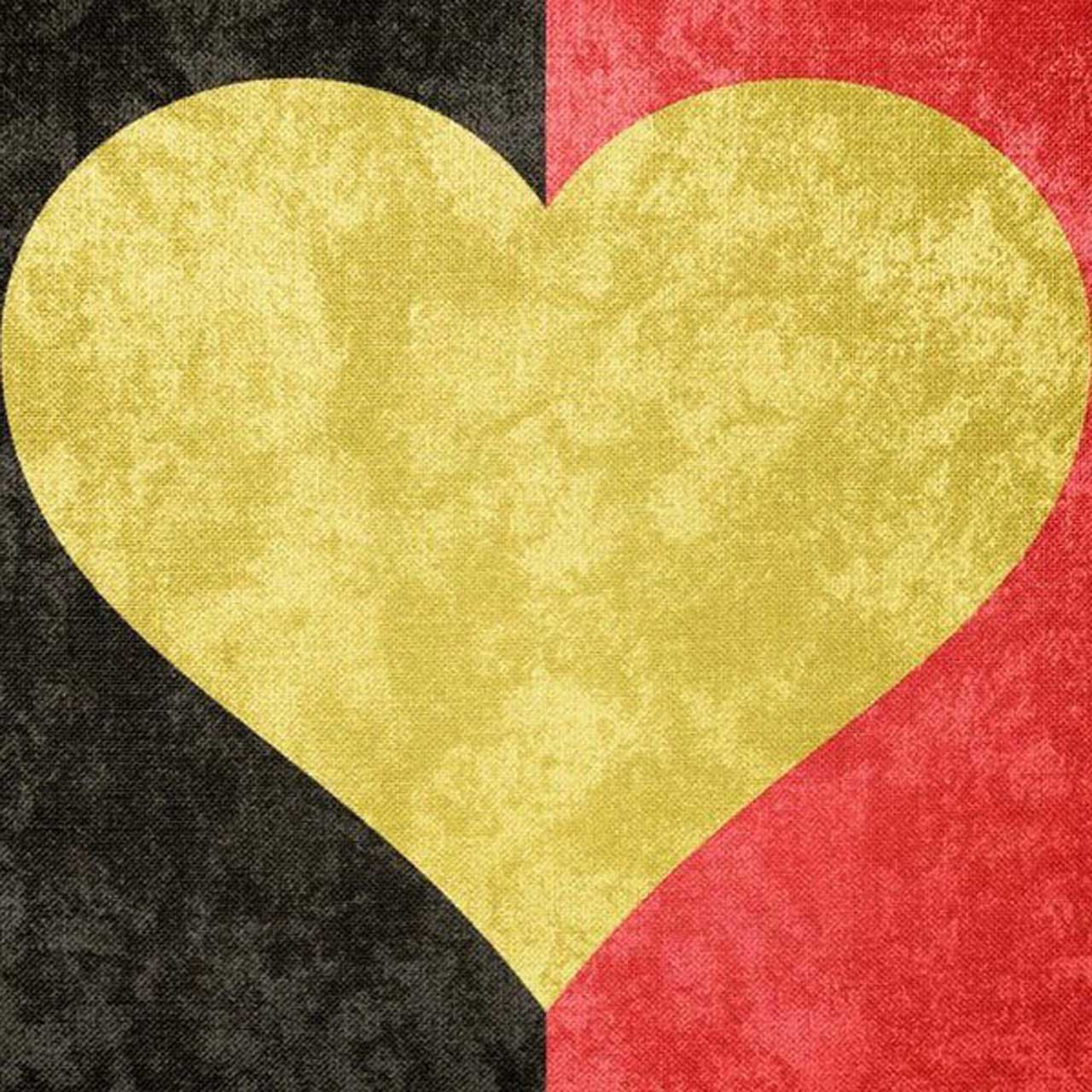Belgian Red Devils tweet support for terror victims