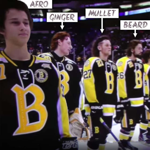 Burnsville quartet headline 2016 Minnesota State High School All Hockey Hair Team