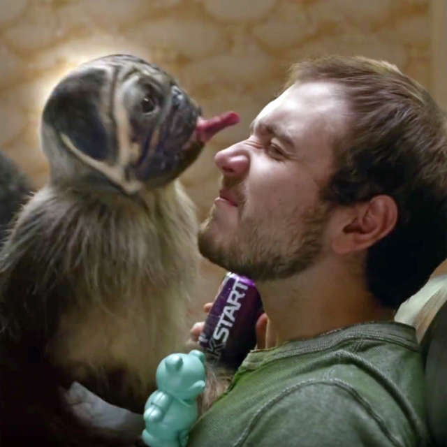 Puppymonkeybaby stars in 2016 Super Bowl ad