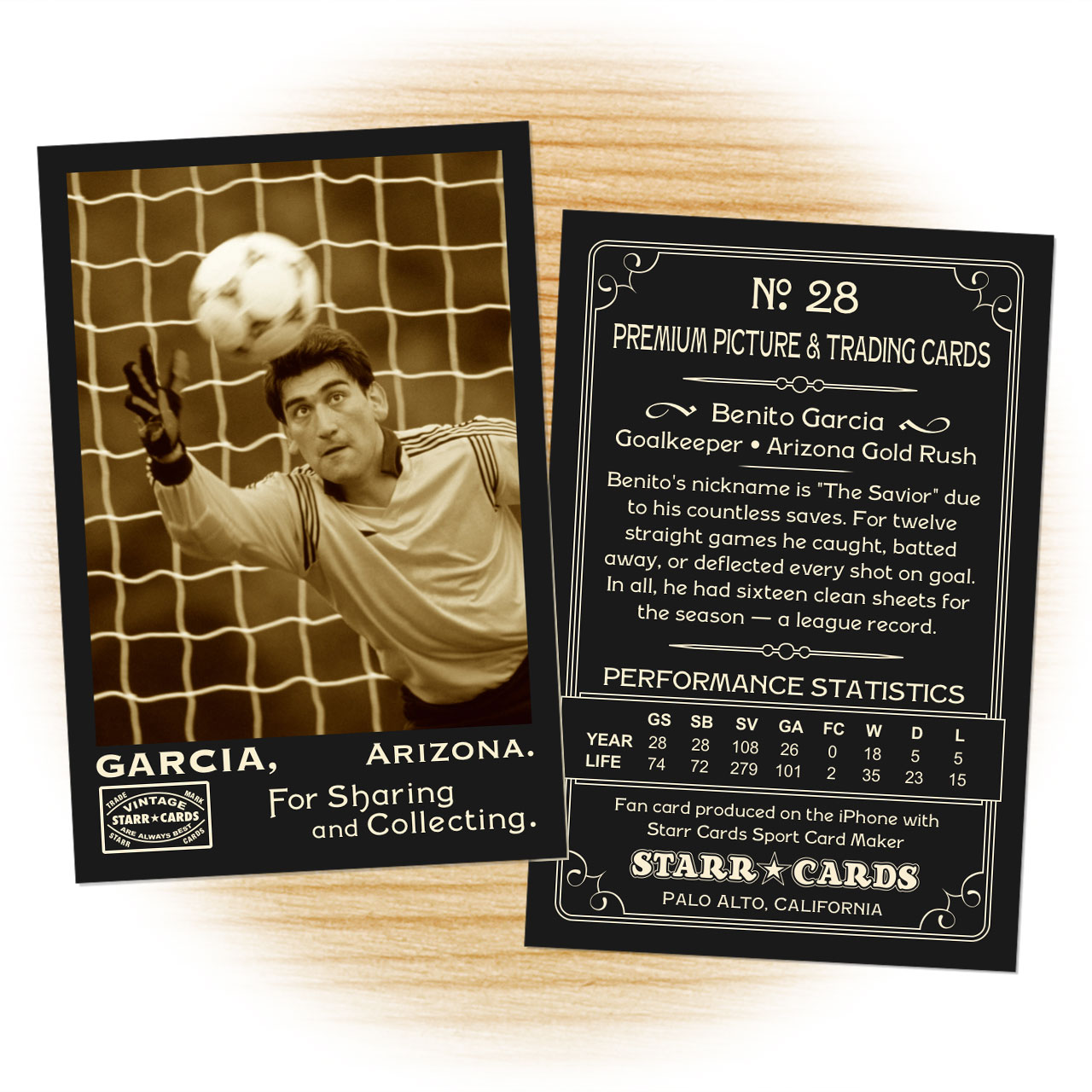 Vintage 95 Series custom soccer cards